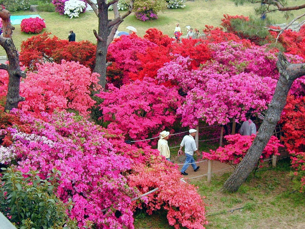 69ce2399242bfc304798be928dcd0fb4