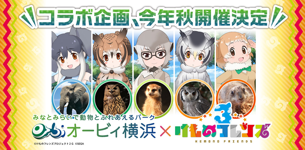 Image for オービィ横浜で「けものフレンズ３」とのコラボ企画を実施